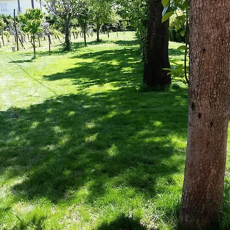 Maison La Coccola Oda ve Kahvaltı