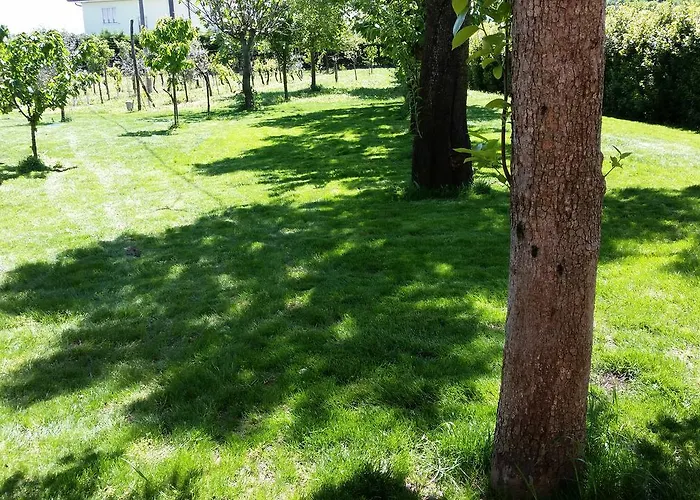 Maison La Coccola Nocleg ze śniadaniem